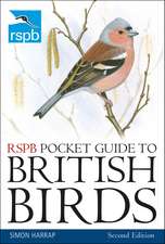 RSPB Pocket Guide to British Birds: Second edition