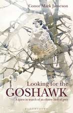 Looking for the Goshawk