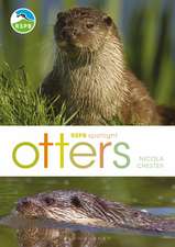 RSPB Spotlight: Otters