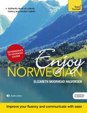 Enjoy Norwegian Intermediate to Upper Intermediate Course: Improve your language