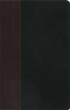 NIV Study Bible Brown/Tan Duo-Tone Personal Size