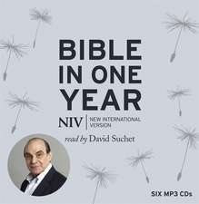 Version, N: NIV Audio Bible in One Year read by David Suchet