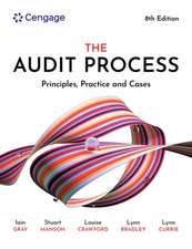 The Audit Process