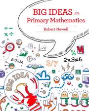 Big Ideas in Primary Mathematics