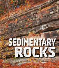 Sedimentary Rocks