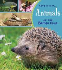 Animals of the British Isles