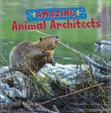 Rissman, R: Amazing Animal Architects