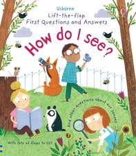 Daynes, K: First Questions and Answers: How do I see?