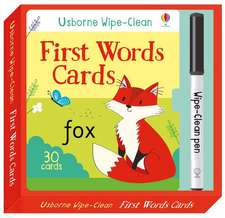 Brooks, F: Wipe-Clean First Words Cards