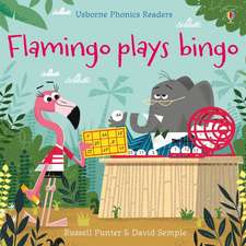 Punter, R: Flamingo plays Bingo