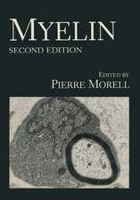 Myelin