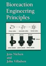 Bioreaction Engineering Principles