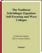 The Nonlinear Schrödinger Equation: Self-Focusing and Wave Collapse