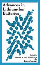 Advances in Lithium-Ion Batteries