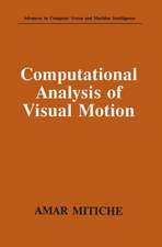Computational Analysis of Visual Motion