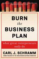 Burn the Business Plan: What Great Entrepreneurs Really Do