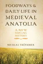 Foodways and Daily Life in Medieval Anatolia: A New Social History