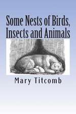 Some Nests of Birds, Insects and Animals