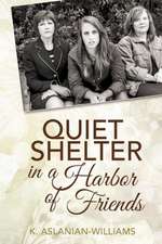 Quiet Shelter in a Harbor of Friends: The Real Way Out of America's Economic Crisis