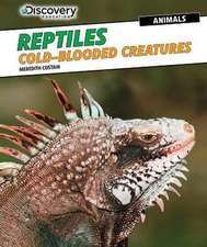 Reptiles: Cold-Blooded Creatures