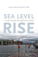 Sea Level Rise – A Slow Tsunami on America`s Shores