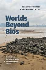 Worlds Beyond Bios