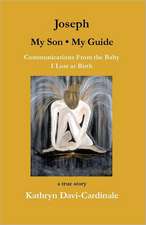 Joseph--My Son, My Guide: Communications from the Baby I Lost at Birth