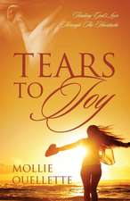 Tears to Joy: Finding God's Love Through the Heartache