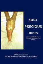 Small Precious Things: Experience and Godly Wisdom Spiritually Colliding in a Set of Hands