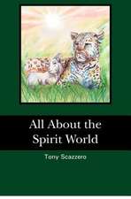 All about the Spirit World