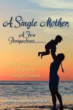 A Single Mother, a Few Perspectives......and Anyone Else That Is a Single Parent