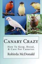 Canary Crazy