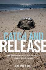 Catch and Release – The Enduring Yet Vulnerable Horseshoe Crab