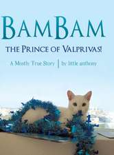 Bambam, the Prince of Valprivas!