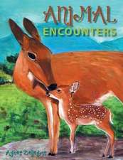 Animal Encounters