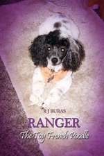 Ranger the Toy French Poodle