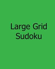 Large Grid Sudoku