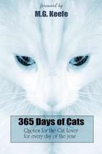 365 Days of Cats