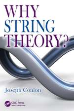 Why String Theory?: Structure and Chemistry