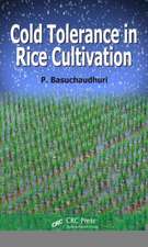 Cold Tolerance in Rice Cultivation