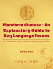 Mandarin Chinese - An Explanatory Guide to Key Language Issues