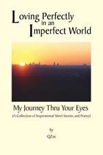 Loving Perfectly in an Imperfect World - My Journey Thru Your Eyes