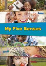 My Five Senses