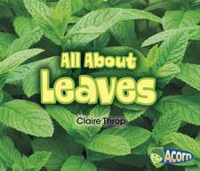 All about Leaves