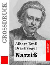 Narziss (Grossdruck)