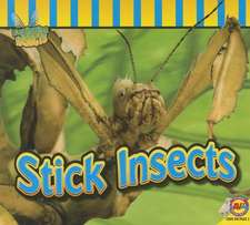 Stick Insects