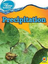 Precipitation