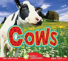 Cows