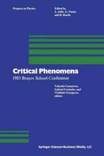 Critical Phenomena: 1983 Braşov School Conference