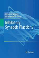 Inhibitory Synaptic Plasticity